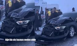 Ağrı'da sis kazaya neden oldu