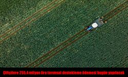 Tarıma Can Suyu: 255,4 Milyon Lira Destek Bugün Ödeniyor