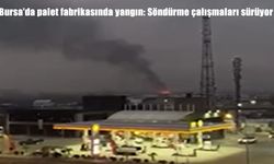 Bursa’da palet fabrikasında yangın: Söndürme çalışmaları sürüyor