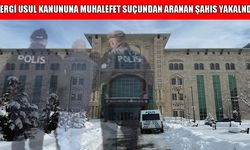 Muş’ta kesinleşmiş hapis cezasıyla aranan şahıs yakalandı