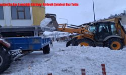 Tercan’da Kar Temizliği Sürüyor, Girlevik Şelalesi Buz Tuttu