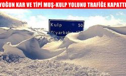 Muş-Kulp karayolu kar ve tipi nedeniyle geçit vermiyor