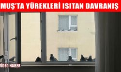 Muş’ta örnek davranış: Dondurucu soğuklarda kuşları unutmadılar