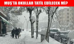 Muş’ta gözler valilikten gelecek "Tatil" kararında