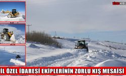 Muş Özel İdaresi’nin zorlu kar mesaisi: "Geceden beri 7/24 çalışıyoruz"