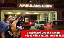 Muş’ta sokak köpeği dehşeti: Anne ve oğlu yaralandı
