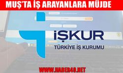 Muş Müftülüğü ve İŞKUR iş birliğiyle İUP başlıyor: 85 kişi istihdam edilecek