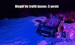 Bingöl’de trafik kazası: 3 yaralı
