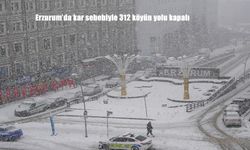 Erzurum'da kar sebebiyle 312 köyün yolu kapalı