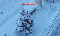 Erciş’te kar yağışı