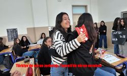 Türkiye'de akran zorbalığı, Tunceli'de akran nezaketi