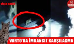 Varto’da gece yarısı inanılmaz karşılaşma: Nadir görülen o anlar kamerada