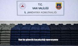 Van’da gümrük kaçakçılığı operasyonu