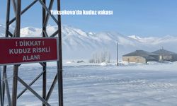 Yüksekova'da kuduz vakası