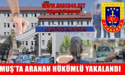 Muş’ta hırsızlıktan aranan hükümlü jandarma tarafından yakalandı