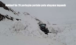 Hakkari'de 79 yerleşim yerinin yolu ulaşıma kapandı