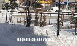 Başkale'de kar yağışı