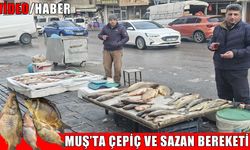Muş’ta çepiç ve pullu sazan bereketi: Balık çeşitleri yoğun talep görüyor