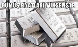 Gümüş fiyatları ABD verileri sonrası yükseldi