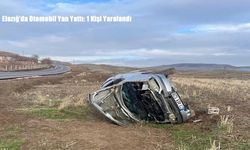 Elazığ’da Otomobil Yan Yattı: 1 Kişi Yaralandı