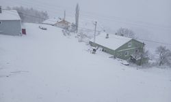 Posof’ta Yoğun Kar Hayatı Felç Etti