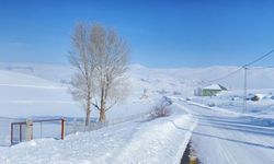 Ağrı’ya Kar Yağışı Hayatı Durma Noktasına Getirdi