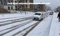 Elazığ’da kar yağışından dolayı araçlar yolda kaldı