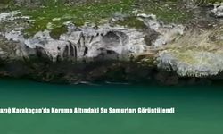 Elazığ Karakoçan’da Koruma Altındaki Su Samurları Görüntülendi