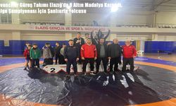 Kovancılar Güreş Takımı Elazığ’da 8 Altın Madalya Kazandı, Bölge Şampiyonası İçin Şanlıurfa Yolcusu