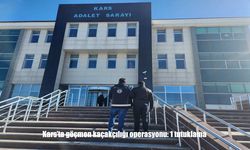 Kars’ta Göçmen Kaçakçılığına Geçit Yok