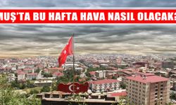 Meteoroloji'den Muş için 5 günlük hava raporu: Yağış ve soğuk birlikte geliyor