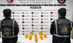 Şırnak’ta Kaçak Altın Operasyonu: 12 Tutuklama