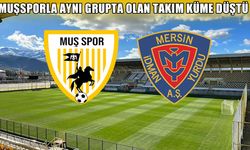 Muşspor'la aynı grupta olan takımın küme düşmesi kesinleşti