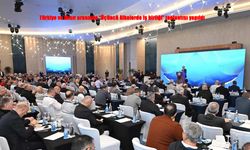 Türkiye ile Mısır’dan üçüncü ülkelerde iş birliği hamlesi