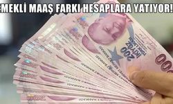 Emekli Maaş Farkı Hesaplara Yatıyor Mu? 16.881 Tl Maaş Alana 3.119 Tl Ödeme Yapıldı Mı?