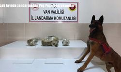Van’da Bir Ayda 224 Kilo Uyuşturucu Ele Geçirildi