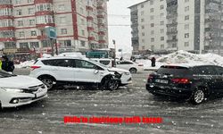 Bitlis’te Kar Zincirleme Kazaya Neden Oldu