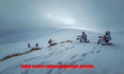 Soğuk ve Kar Engel Olamadı: Mehmetçik Hudutta Görev Başında