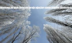 Yüksekova'da sisle birleşen kırağı ağaçları sanat eserine dönüştürdü