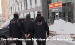Tunceli'de MLKP operasyonu: Örgütsel yapı çökertildi, 1 kişi tutuklandı