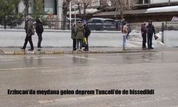 Erzincan'da meydana gelen deprem Tunceli'de de hissedildi