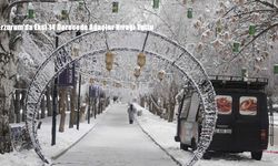 Erzurum’da Eksi 14 Derecede Ağaçlar Kırağı Tuttu