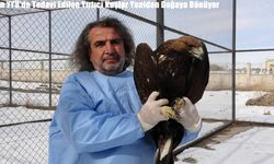 Van YYÜ’de Tedavi Edilen Yırtıcı Kuşlar Yeniden Doğaya Dönüyor