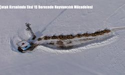 Van’da Besicilerin Karda Zorlu Mesaisi Sürüyor