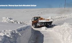 Karlıova’da 2 Metreyi Aşan Karla Mücadele Sürüyor