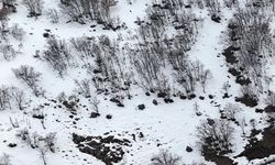 Yüzen Adalar karla kaplandı, beyaz örtü havadan görüntülendi