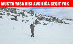 Muş’ta yaban hayatına müdahale cezasız kalmadı: 8 bin 968 TL ceza kesildi