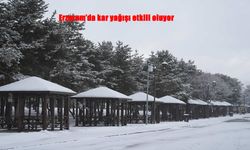 Erzurum’da Kar Sürprizi: Sıcaklık Yükseldi, Kar Yağışı Durmadı