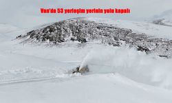 Van’da 53 yerleşim yerinin yolu kapandı