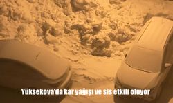 Yüksekova'da kar yağışı ve sis etkili oluyor
